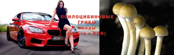 гашик Волосово