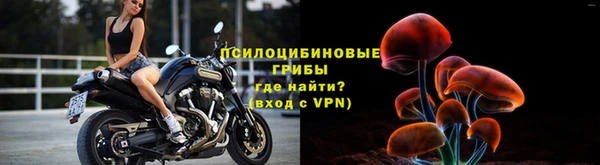 гашик Волосово