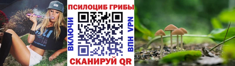 наркошоп  Переславль-Залесский  мега как войти  Псилоцибиновые грибы GOLDEN TEACHER 